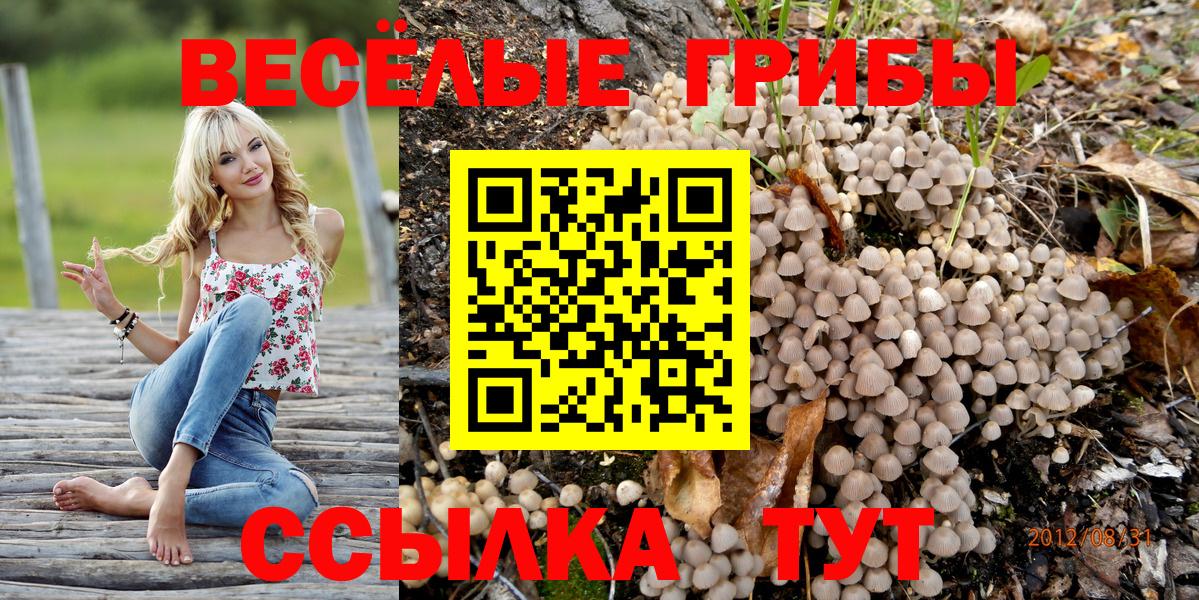 Псилоцибиновые грибы MAGIC MUSHROOMS  Вход с VPN  сколько стоит  Юрга 
